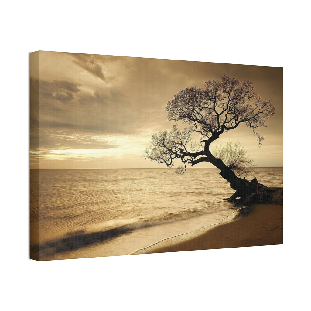 Sepia Beach Tree Canvas Wall Art - Stretched 1.5"
