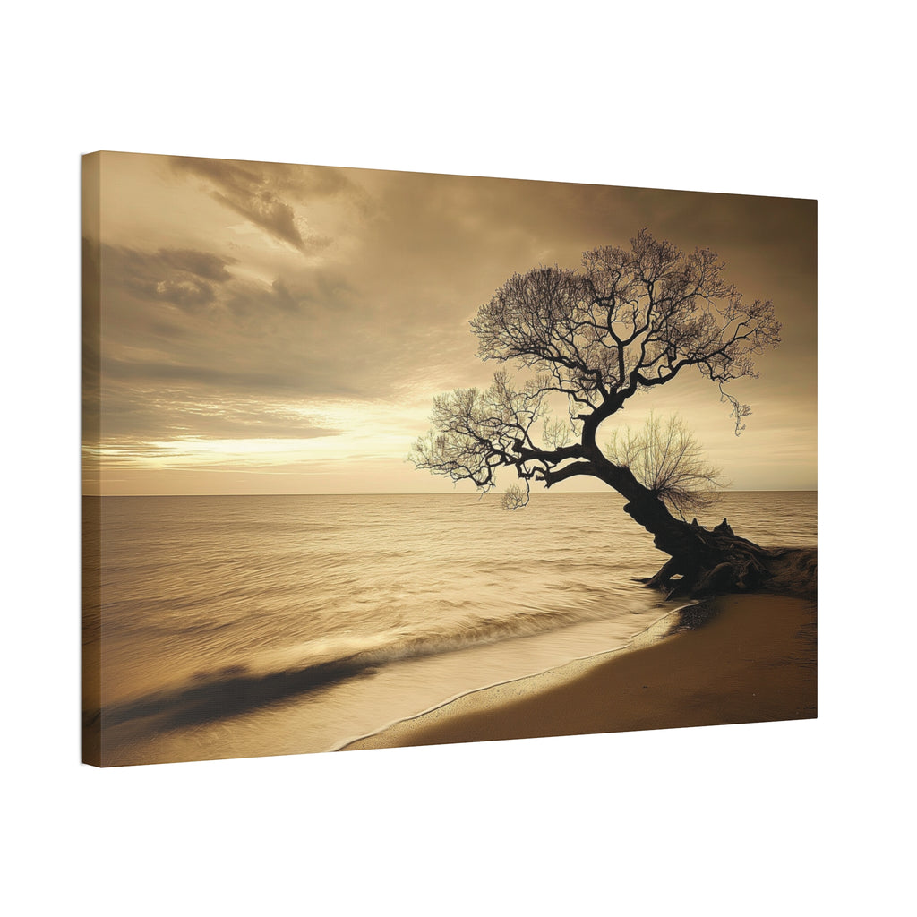 Sepia Beach Tree Canvas Wall Art - Stretched 1.5"