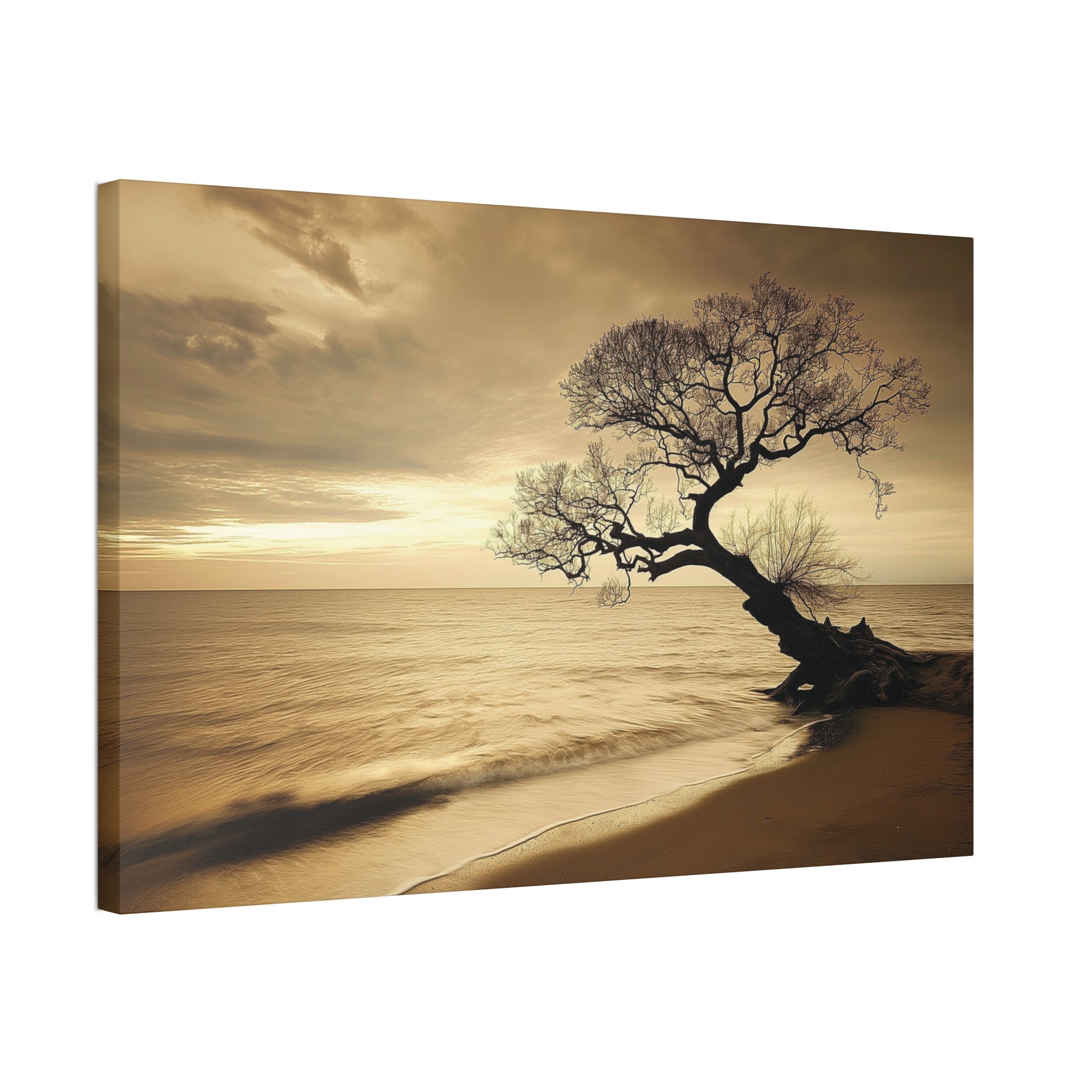 Sepia Beach Tree Canvas Wall Art - Stretched 1.5"
