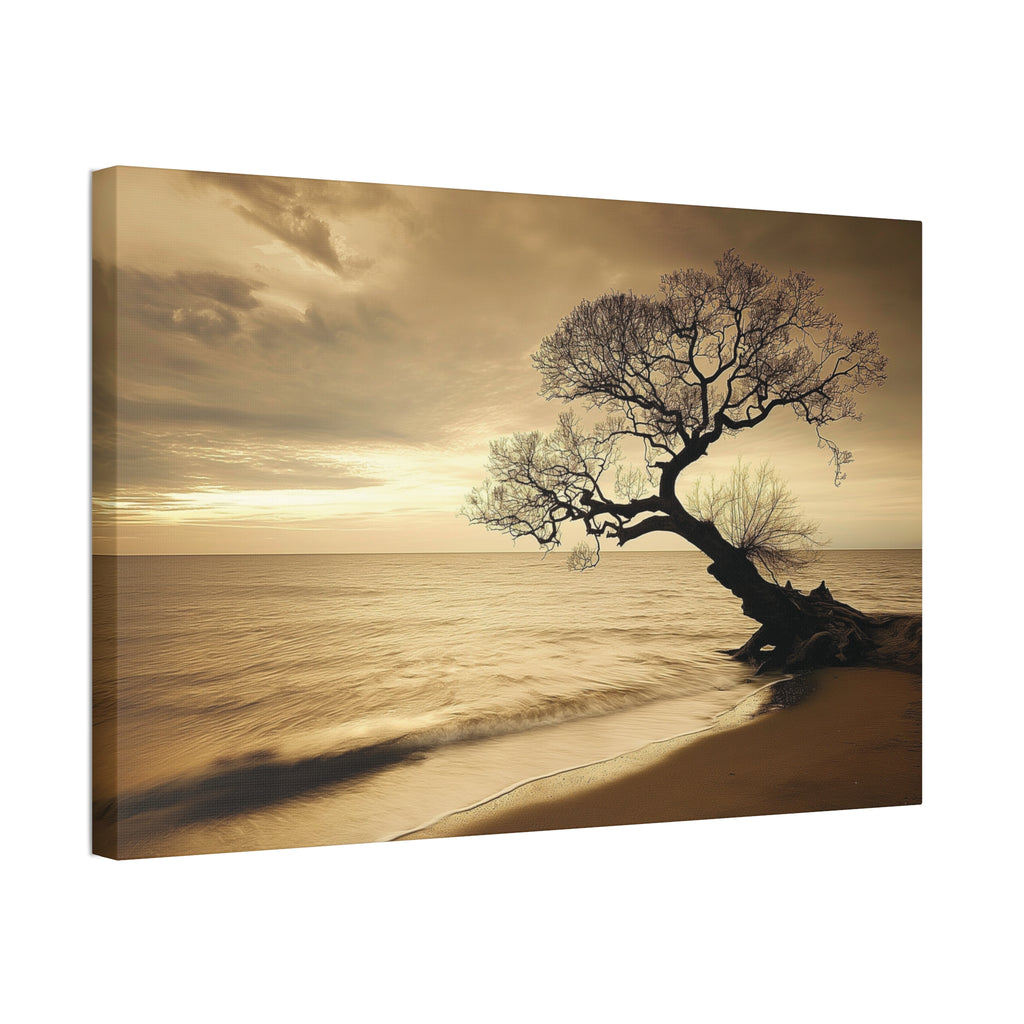 Sepia Beach Tree Canvas Wall Art - Stretched 1.5"